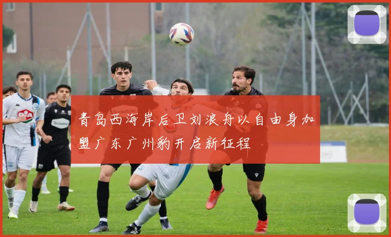 青岛西海岸后卫刘浪舟以自由身加盟广东广州豹开启新征程