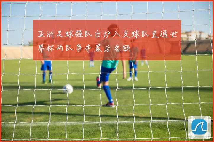 亚洲足球强队出炉八支球队直通世界杯两队争夺最后名额