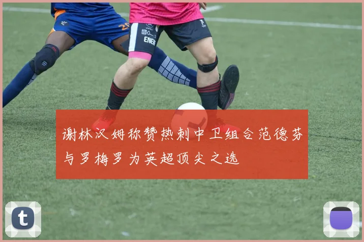 谢林汉姆称赞热刺中卫组合范德芬与罗梅罗为英超顶尖之选