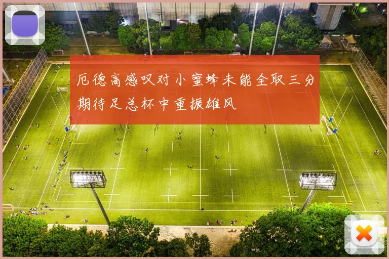 厄德高感叹对小蜜蜂未能全取三分期待足总杯中重振雄风