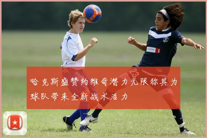 哈克斯盛赞约维奇潜力无限称其为球队带来全新战术活力